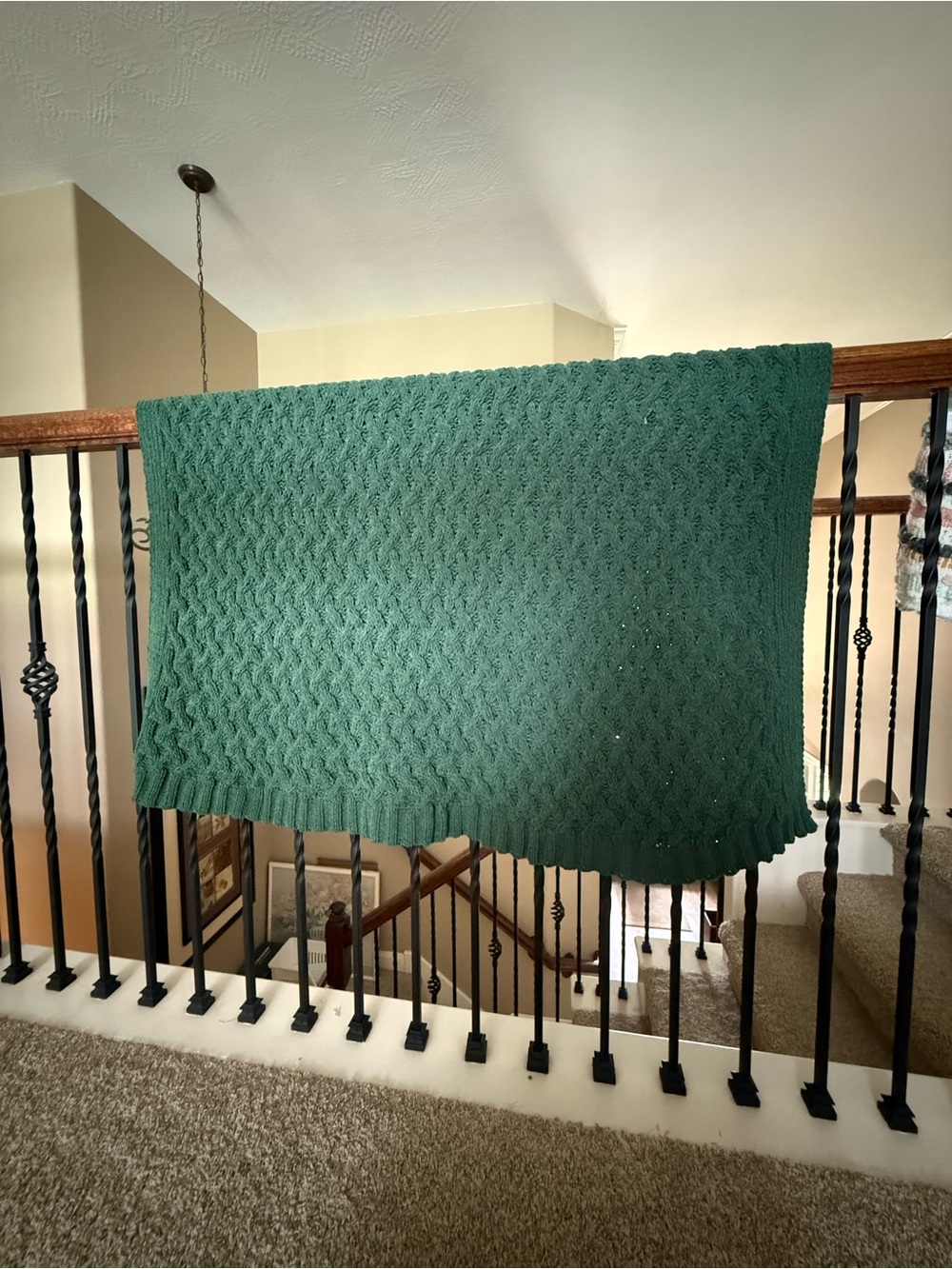 Nicole Miller Forest Green Cable Knit Throw Blanket